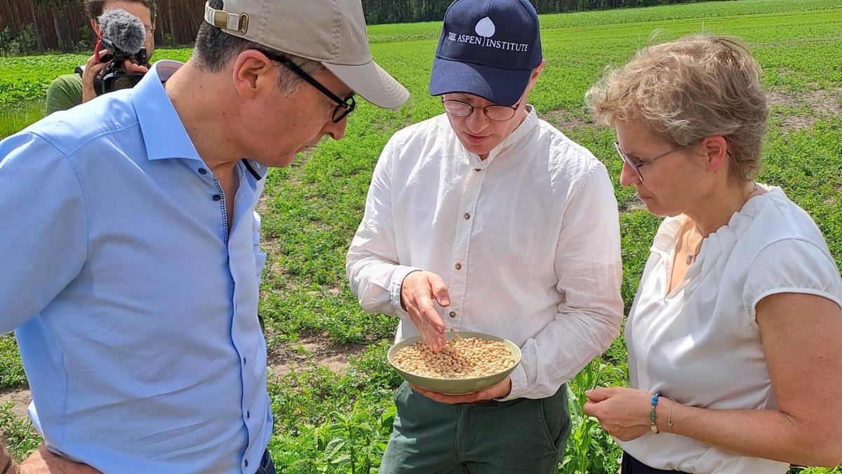 Vorstellung Kichererbsenprojekt in Brandenburg